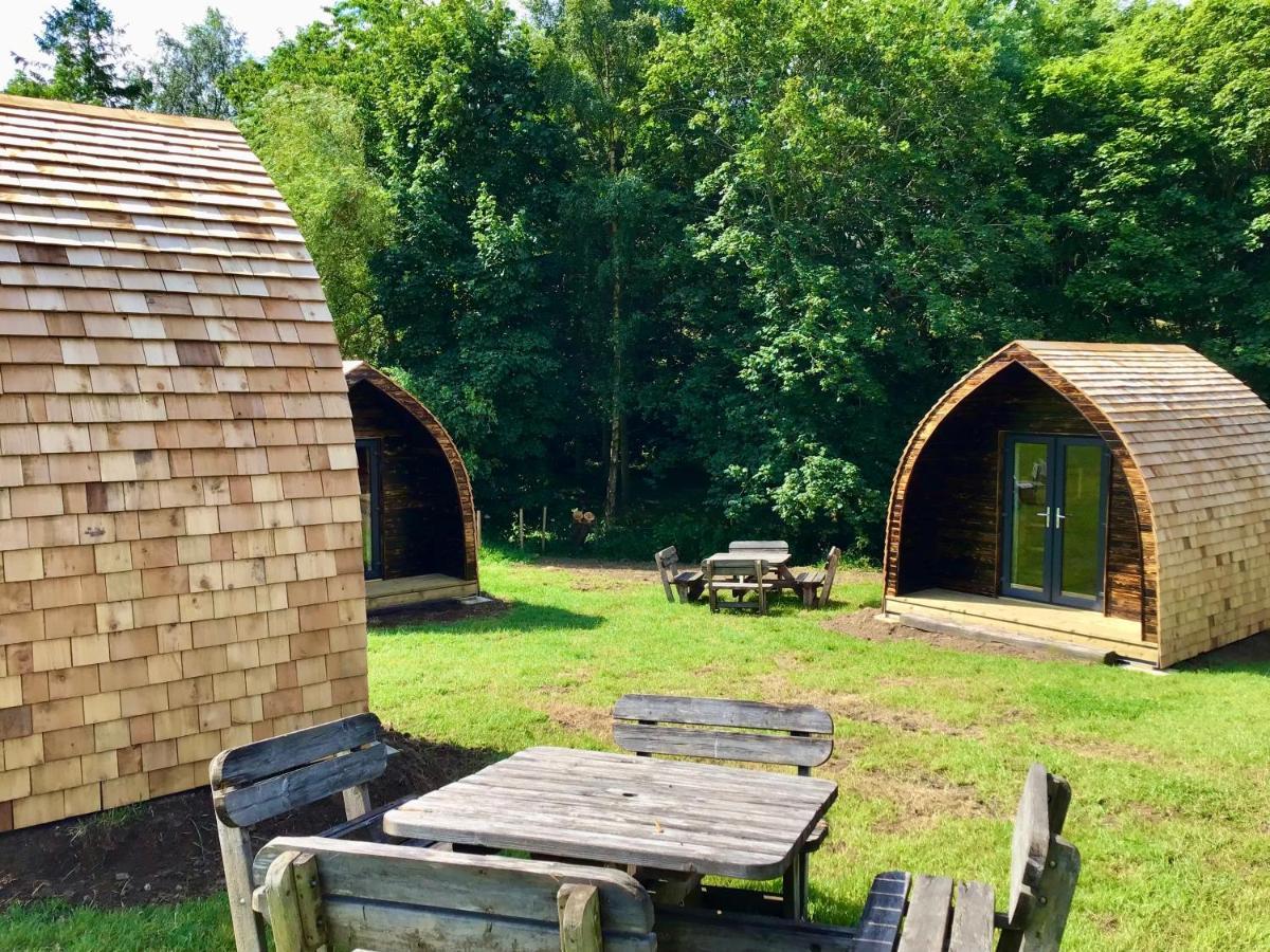 Alder Pod, Clay Bank Huts Campsite *