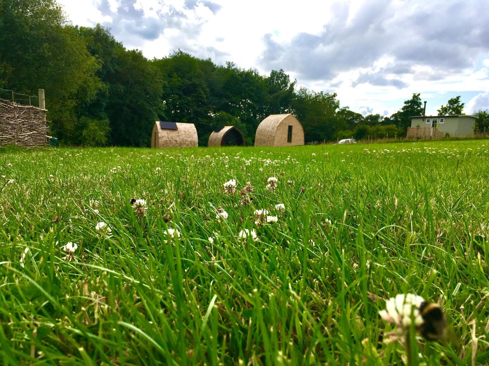 Alder Pod, Clay Bank Huts
